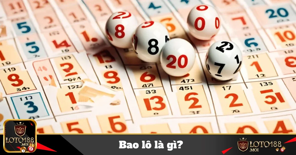 bao lo la gi 4