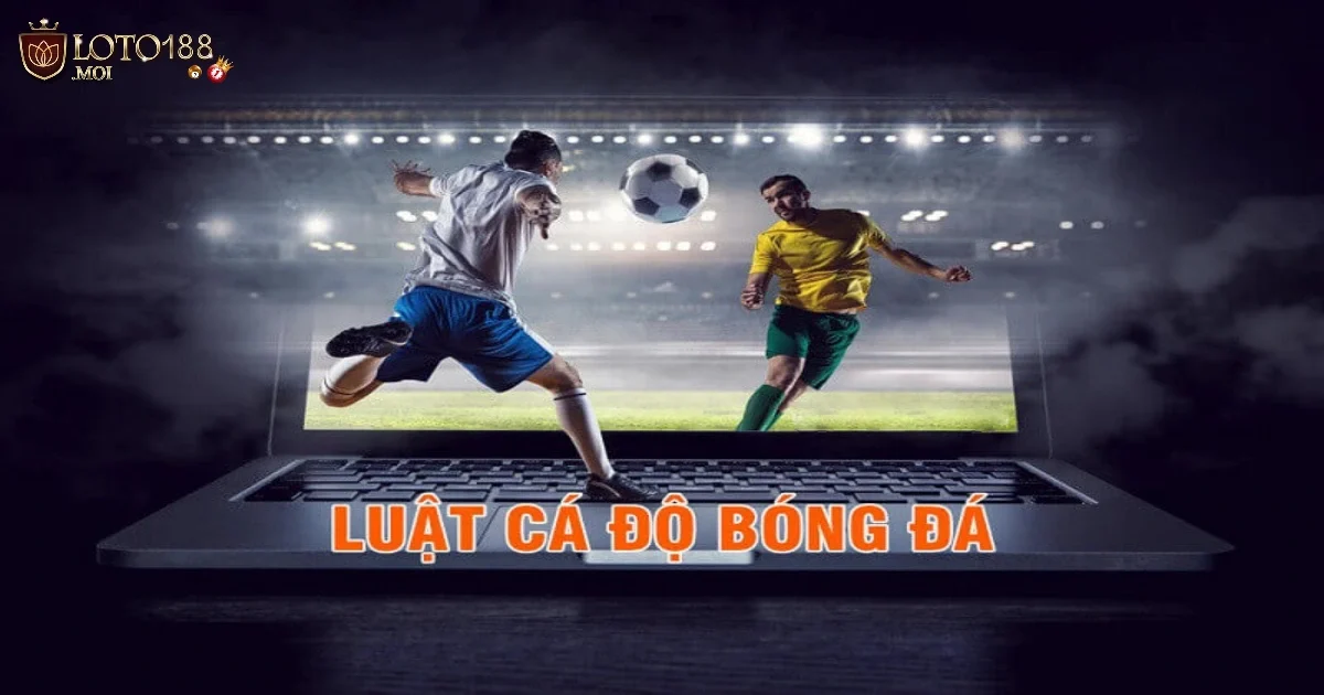 Luật Cá Độ Bóng Đá Là Gì? Quy Định Cược Cơ Bản Cho Người Mới 2 Luật Cá Độ Bóng Đá Là Gì? Những Điều Cần Biết Trước Khi Tham Gia
